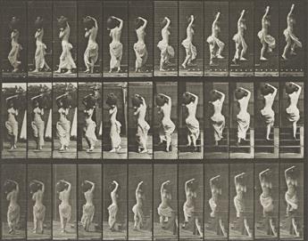 EADWEARD MUYBRIDGE (1830-1904) A selection of 2 plates from Animal Locomotion. 1887.